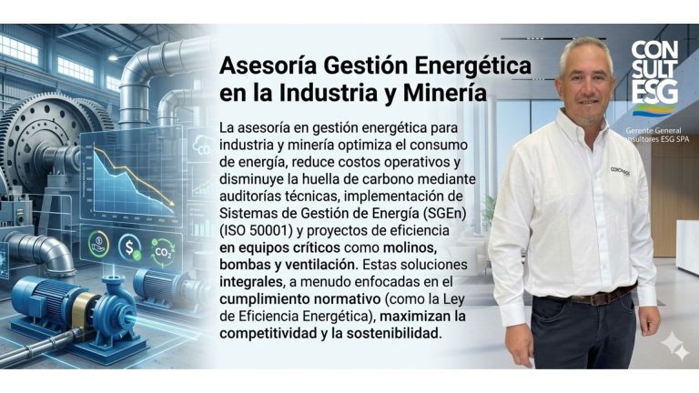 Asesorías en la industria y mineria